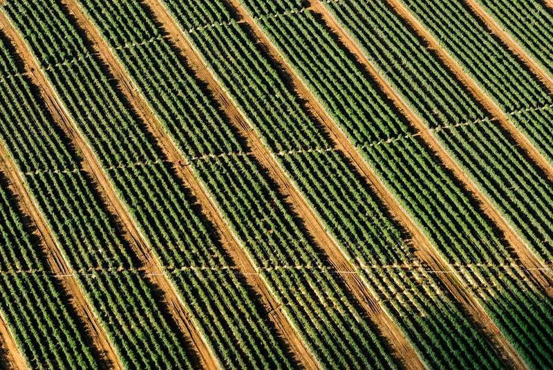 Aerial crop canopy for crop health mapping